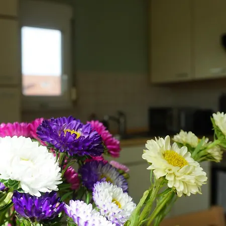 Zentrale & Frisch Renovierte Am Bahnhof Apartment Kirchheim unter Teck