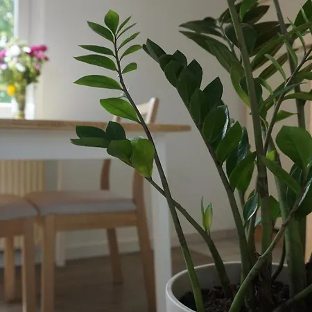 Zentrale & Frisch Renovierte Am Bahnhof Apartment *