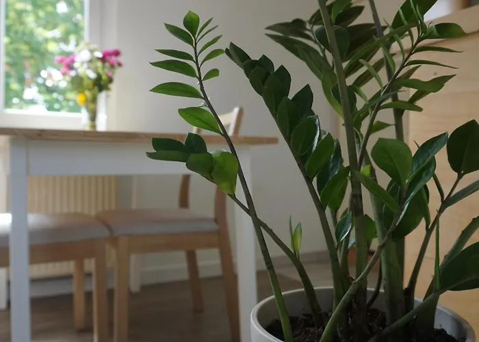 Zentrale & Frisch Renovierte Am Bahnhof Apartamento *